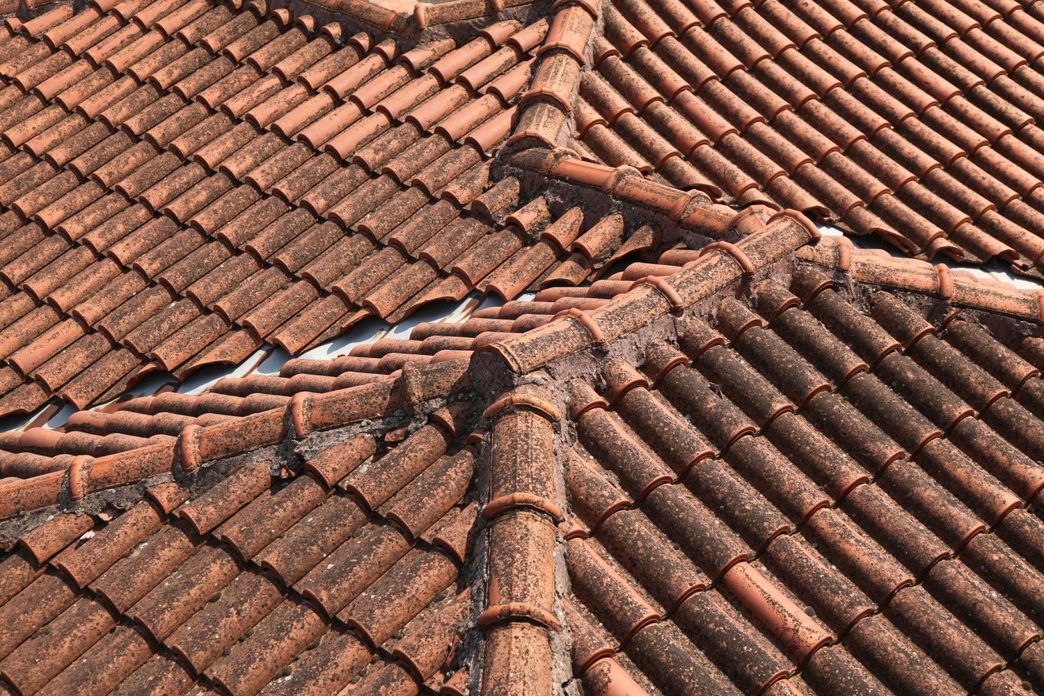 Barrel tile roof in need of softwash