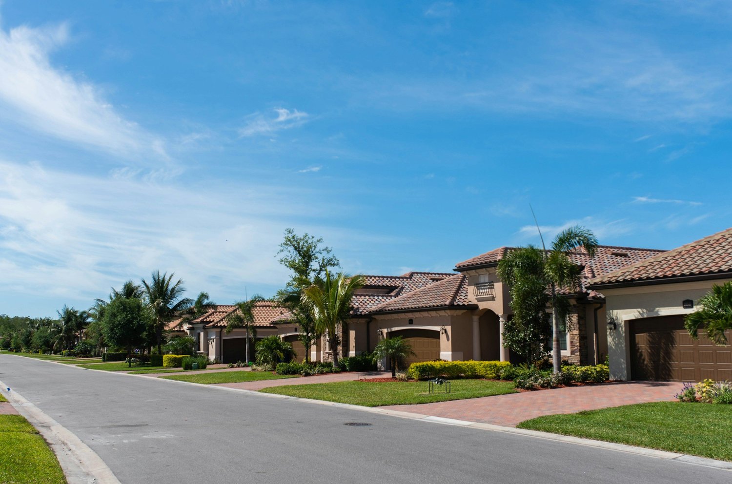 Naples, FL residential street with palm-lined homes